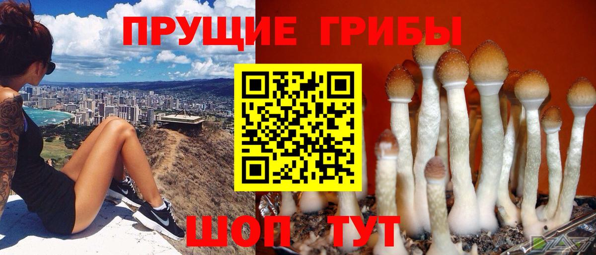 Псилоцибиновые грибы прущие грибы  Вход с VPN  Кизляр 